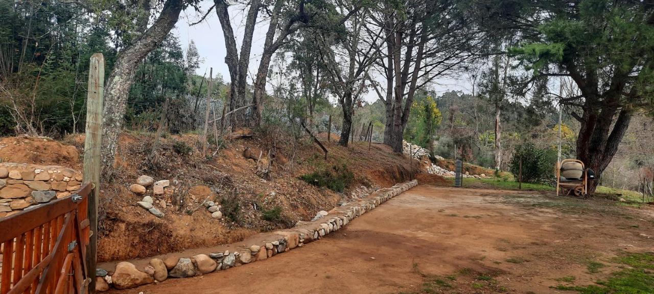 Adore Portugal Bungalow Natureza&Vista de Serra Lousã Exterior foto